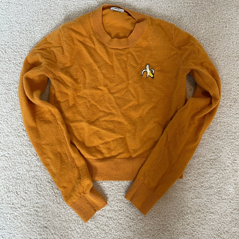 XS sweater, would fit a kids XS
